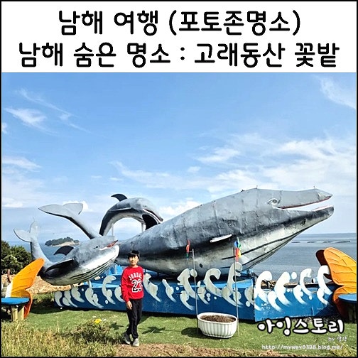 남해 여행 고래동산 꽃밭 봄 유채꽃 포토존 숨은명소