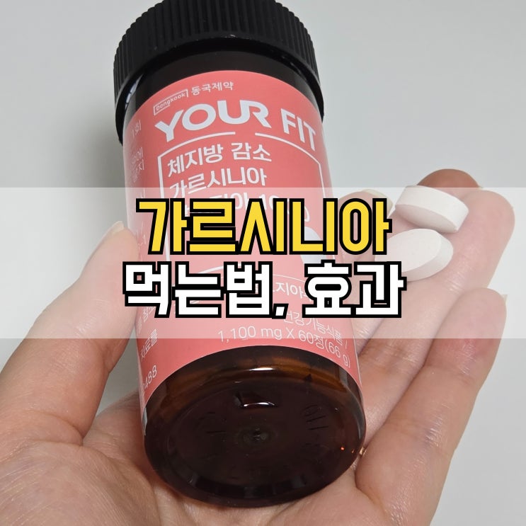  가르시니아 먹는법과 효과 언제 먹는 게 가장 좋을까?
