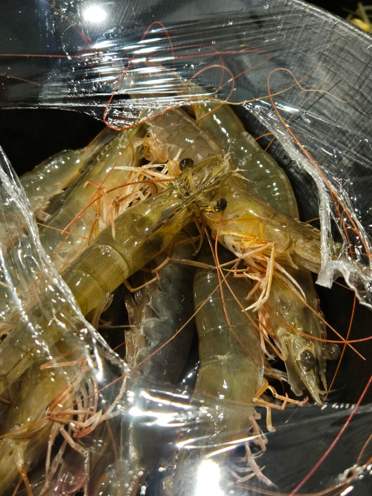  [영등포구청 맛집] '죽변항II' 2호점 | 생새우 & 해산물 맛집