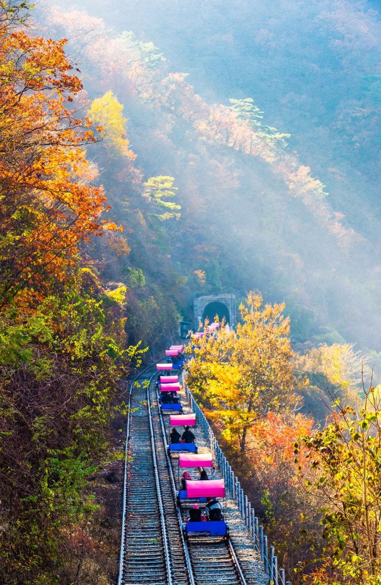  춘천 가볼만한 곳 손꼽히는 여행지, 강촌레일파크 경강레일바이크!