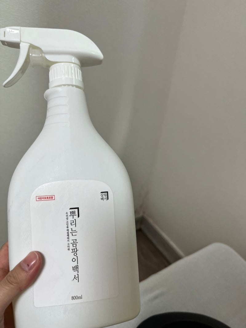 [곰팡이 제거 ] 살림 백서 뿌리는 곰팡이 제거 찐후기