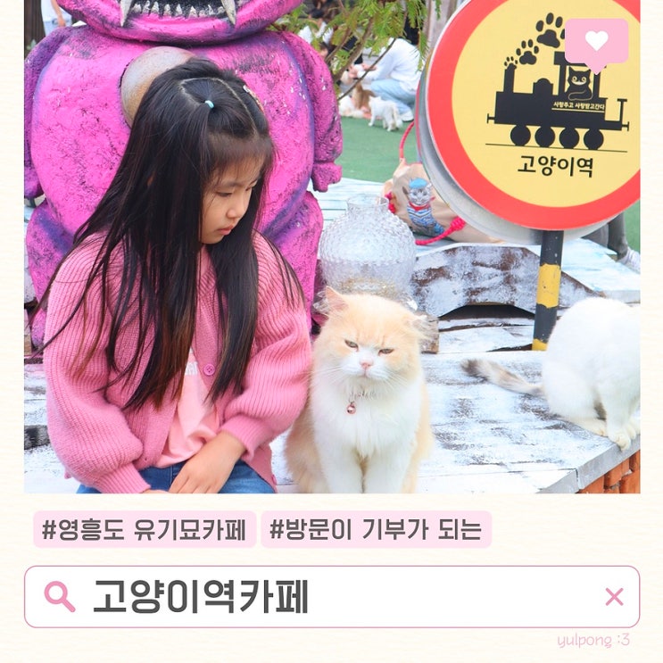  아이와 영흥데이트 고양이역카페 유기묘보호소
