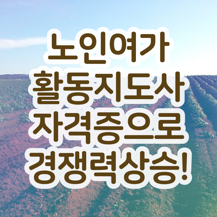  노인여가활동지도사 분석가 , 노인여가활동지도사자격증 온라인으로 취득 정보 확인하고 가세요