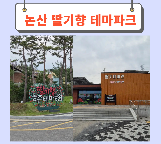  논산딸기향테마파크 방문후기