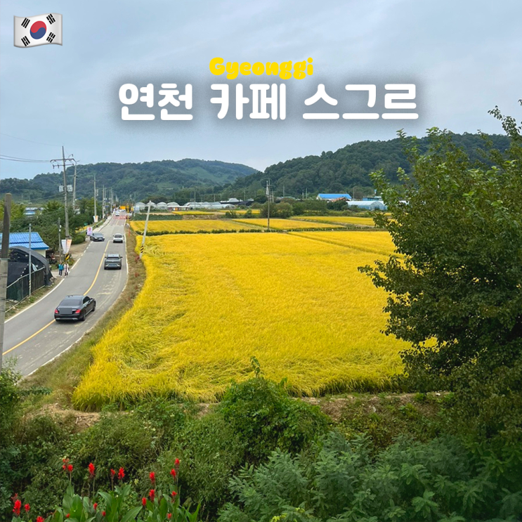  연천 두루미마을 카페 스그르 주차 댑싸리공원 할인