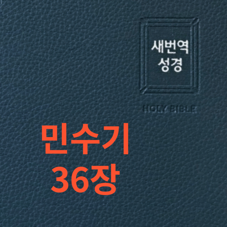 민수기 36장 민수기 36장