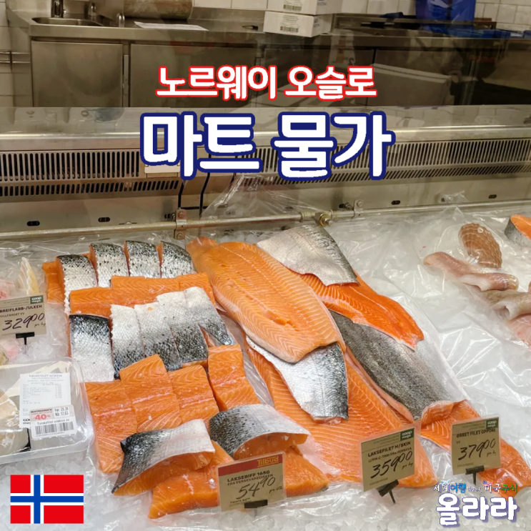  노르웨이 오슬로 마트 물가 연어 과일 다양