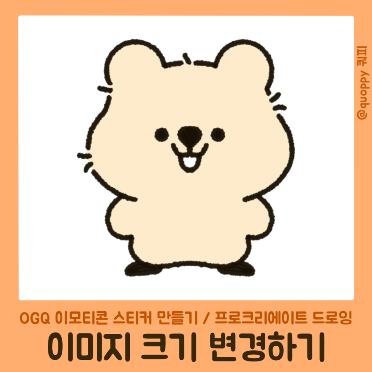  OGQ 이모티콘 만들기 - OGQ 규격, OGQ 주의사항 알아보기 / 프로크리에이트 OGQ 사이즈 맞추기 (프로크리에이트 캔버스 리샘플)
