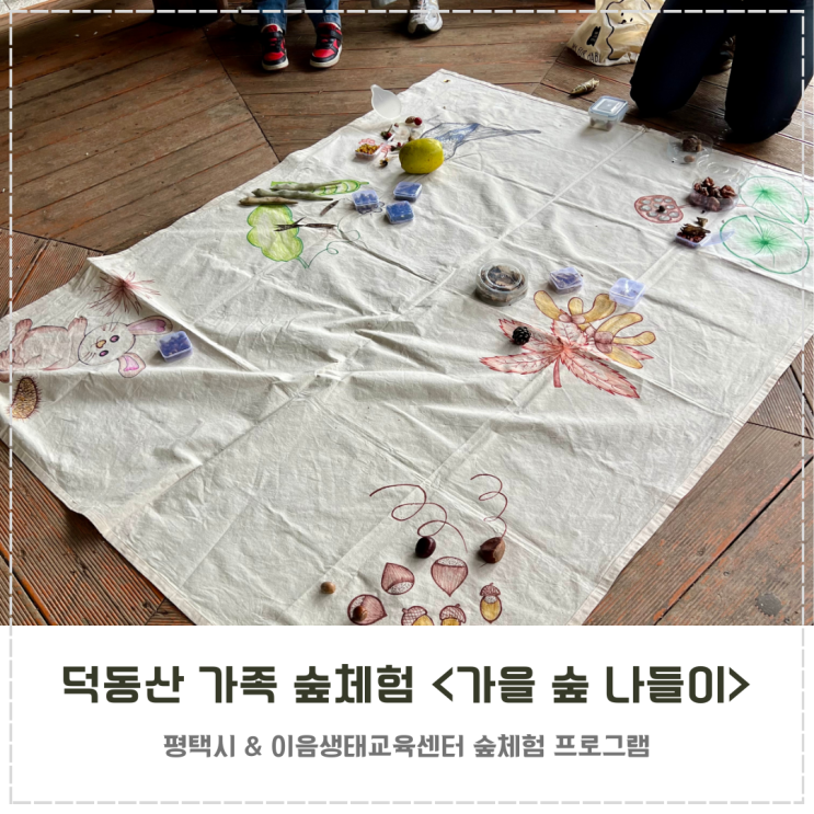  평택 덕동산 가족 숲체험 (w.이음생태교육센터)