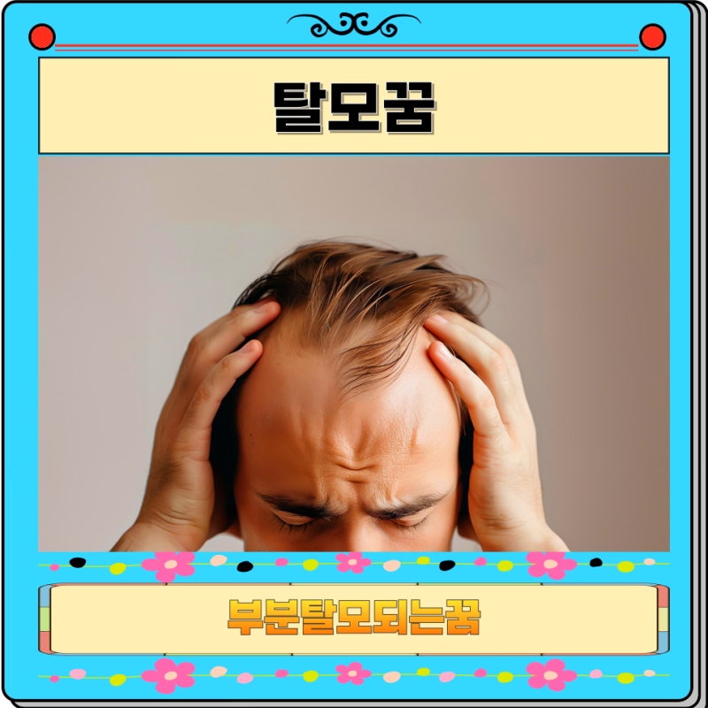 탈모꿈 해몽 탈모되는 꿈 상황별 풀이
