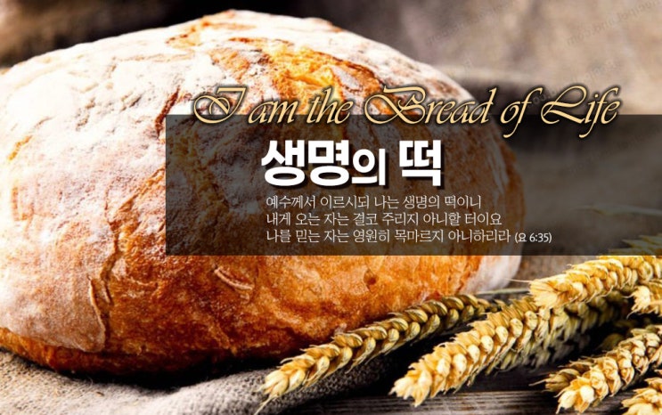  [요한복음] 30_나는 하늘에서 내려온 살아 있는 떡이니 사람이 이 떡을 먹으면 영생하리라.
