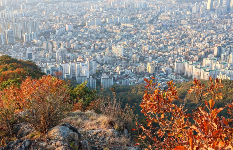  서울 등산 추천 초보 코스 BEST 3