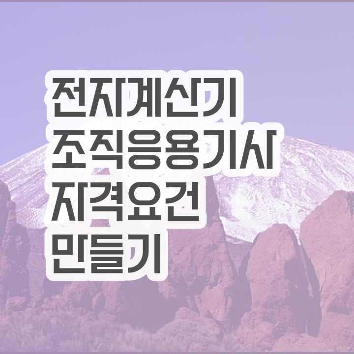  전자계산기조직응용기사 응시자격 서류 전자계산기조직응용기사 시험응시자격 온라인으로 빠르게 완료한 전략