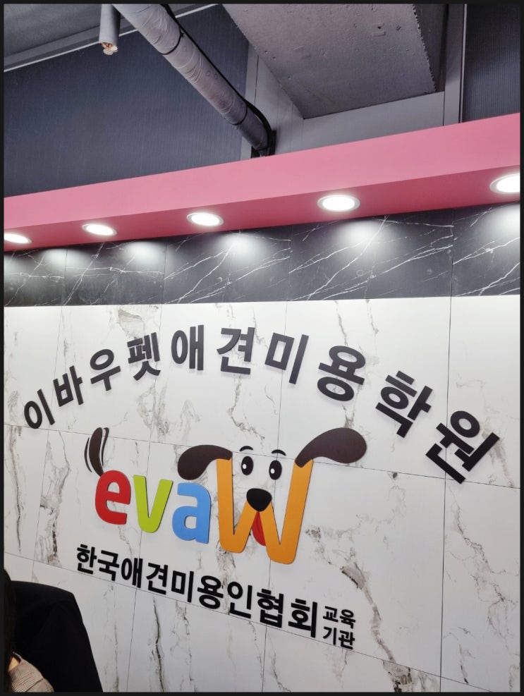  강아지미용학원 올바른 선택은 미래를 결정합니다