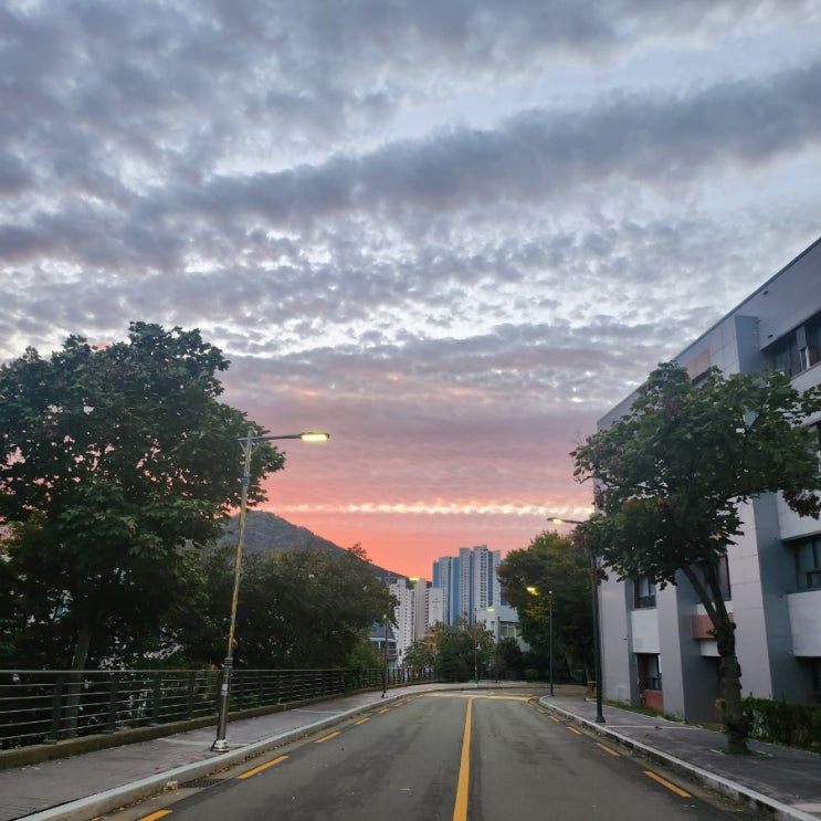  안녕 가을 보들보들치즈볶음면, 컵라면도자기, 부부칼국수까지 면쟁이 가을식단
