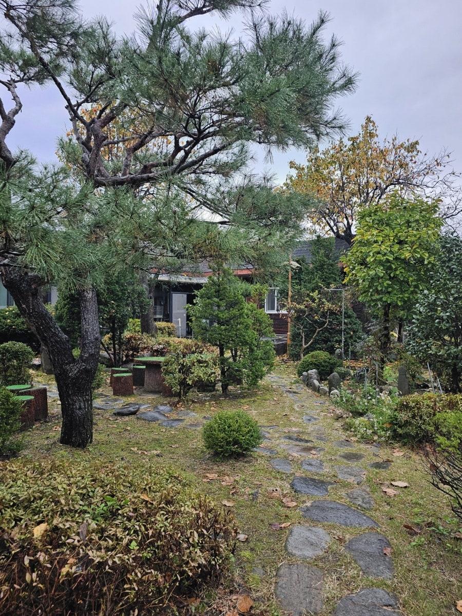 메기촌 사진 3