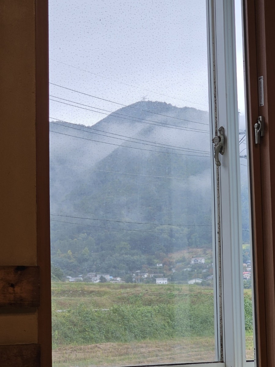 메기촌 사진 5