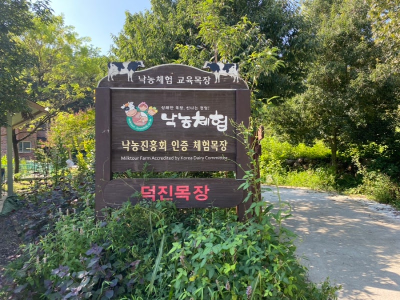 경남 진주 명석 아이랑 가볼만한곳 숲속키즈스쿨(덕진목장)