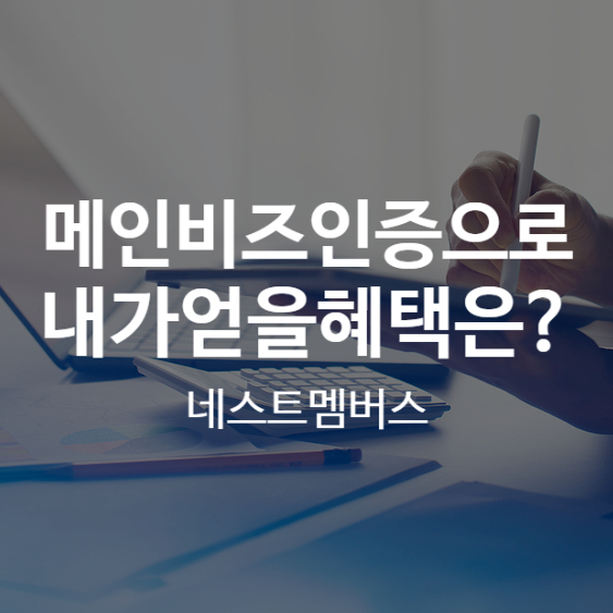  메인비즈인증절차부터 혜택까지 총정리