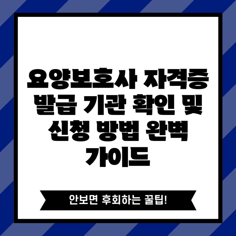 요양보호사 자격증 발급 기관 확인 및 신청 방법 완벽 가이드