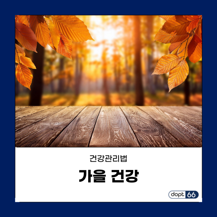  '가을 건강' 제철 음식과 과일로 지키는 건강 관리법