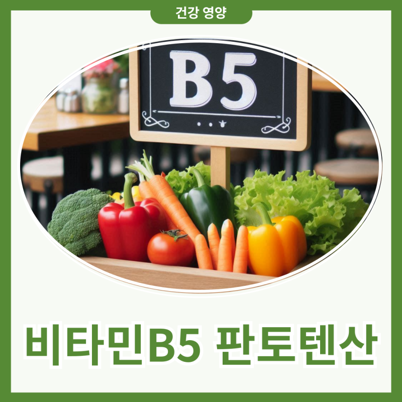 비타민B5 판토텐산 효능 부작용 복용법 섭취량 알고 챙겨봐요