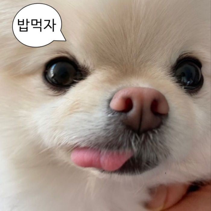 메기촌 사진 1