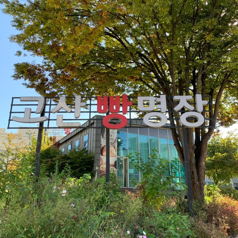 이미지 34322490