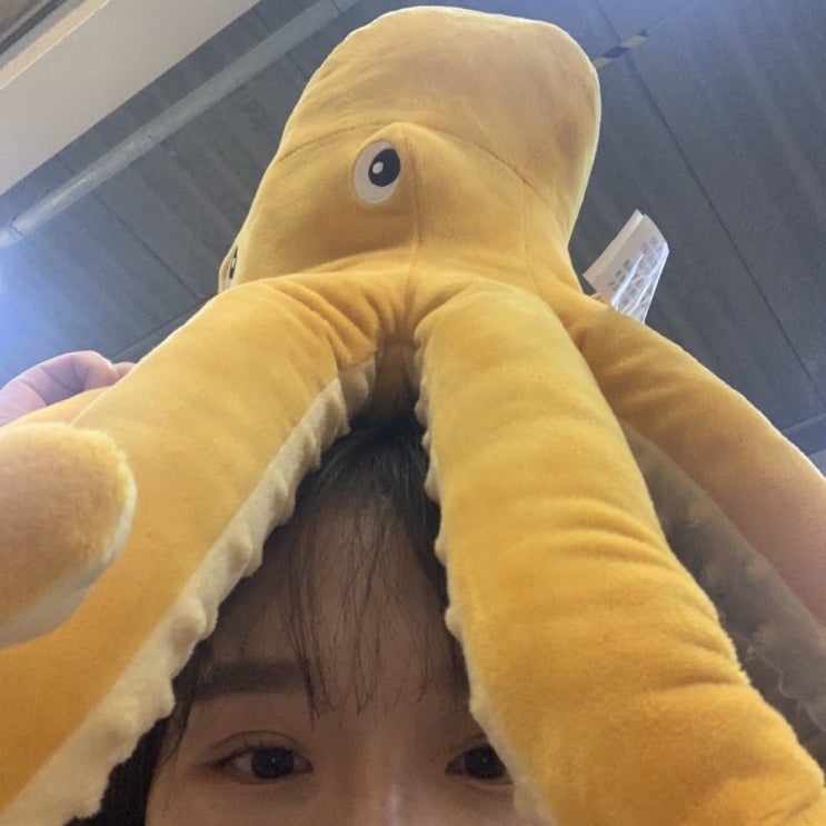  문어지지마