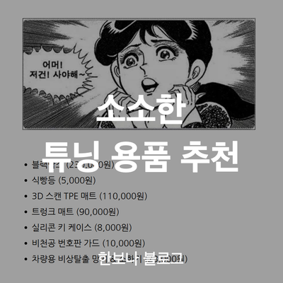  소소한 튜닝 용품 리스트 (feat. 캐스퍼 일렉트릭)