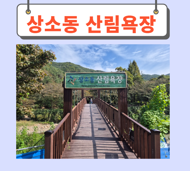  대전 상소동 산림욕장 방문후기
