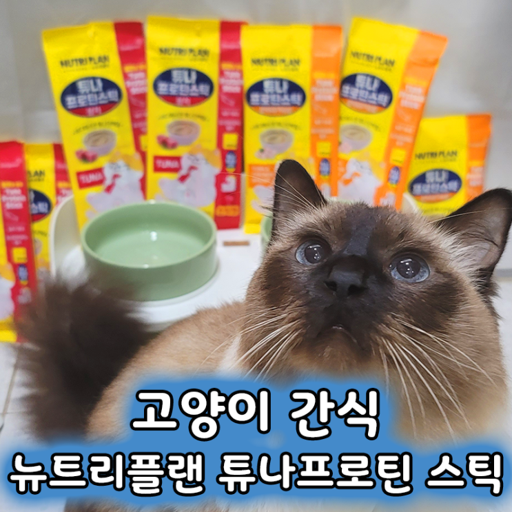  기호성 좋은 고양이 유산균 참치간식 뉴트리플랜 튜나프로틴 스틱