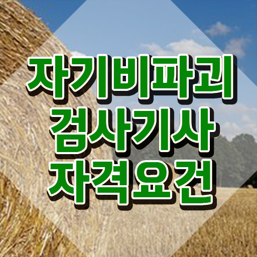  자기비파괴검사기사 응시자격확인 , 자기비파괴검사기사자격증 쉽고 간편하게 취득방법