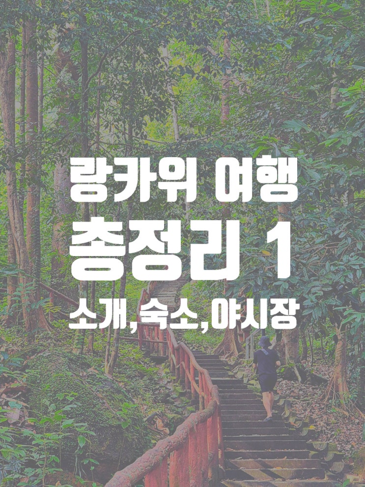  말레이시아 랑카위 여행 랑카위 소개, 숙소 위치 정하기, 야시장 정리편
