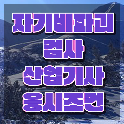  자기비파괴검사산업기사 신청 자기비파괴검사산업기사 시험응시자격 인강으로 단기간에 성공한 노하우