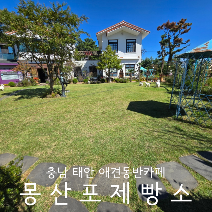  충남 태안 애견동반카페 빵 맛집 팜카밀레 옆 몽산포제빵소