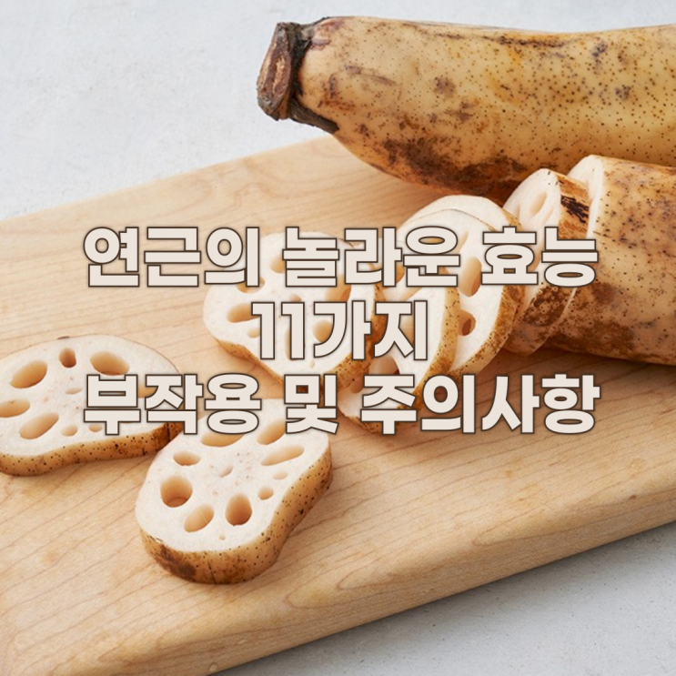  연근의 놀라운 효능 11가지와 부작용 및 주의사항