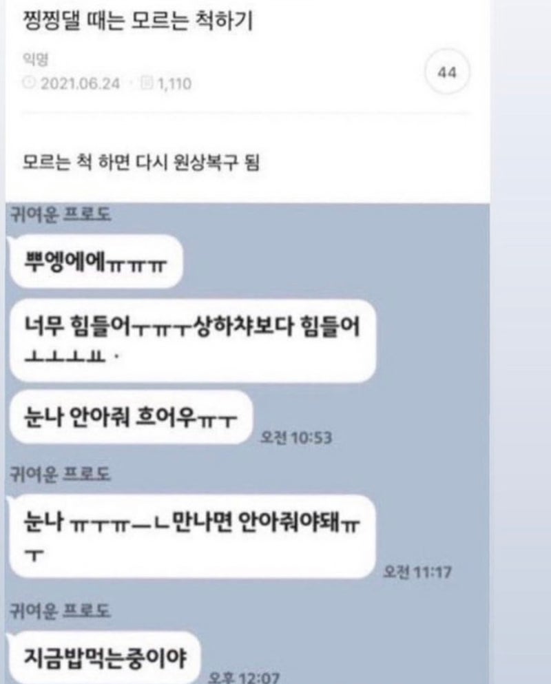 100] 직장인힐링 웃긴짤모음 밈모음 해외밈모음 : 네이버 블로그, image size:800x993