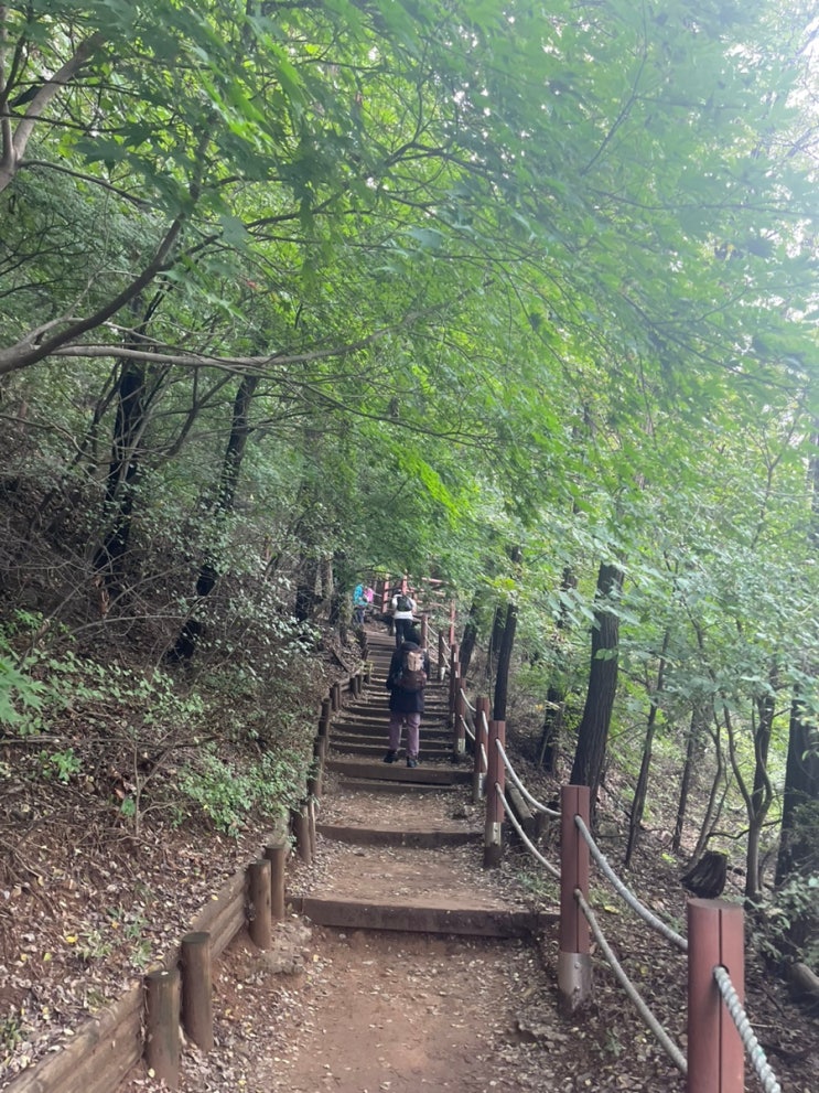  서울 근교 등산 경기도 수원 광교산 형제봉-단풍 등산 초급자 코스 1시간