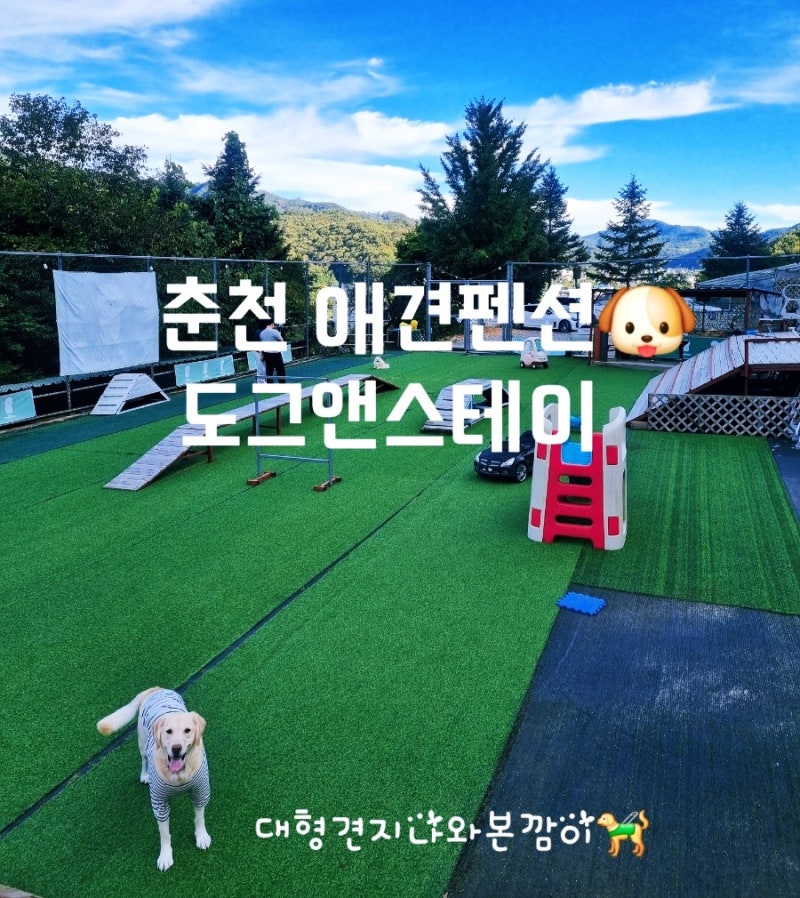 사진 4