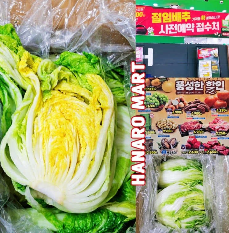 농협 하나로마트 절임배추 사전예약 양재점 할인 가격 농협 하나로마트 절임배추 사전예약 양재점 할인 가격
