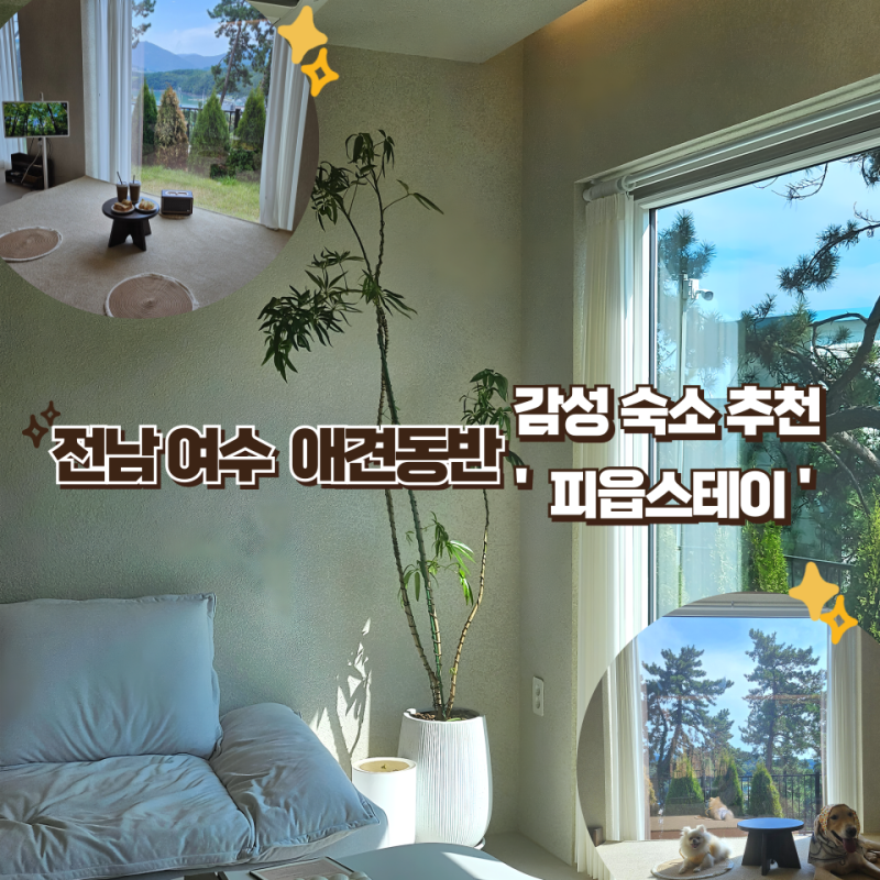 사진 12