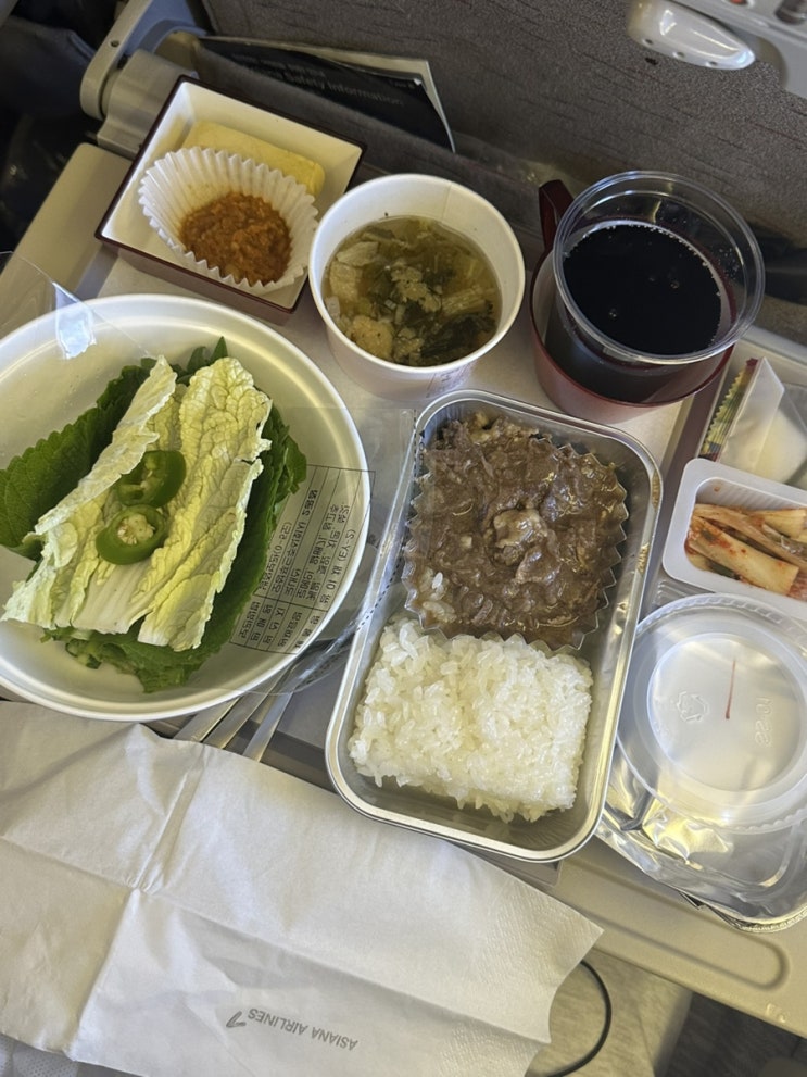  [서유럽] 아시아나 직항 항공편 이용 후기(IN. 로마/다빈치)