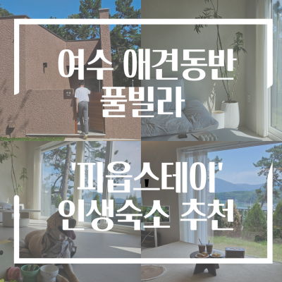 사진 14