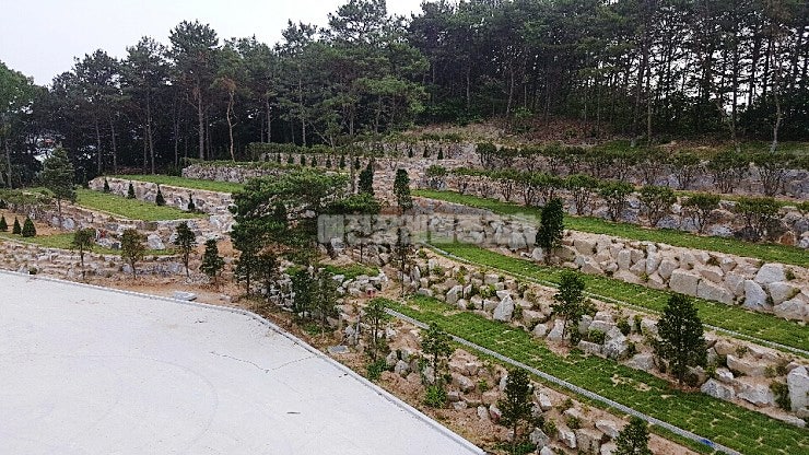  여주 수목장 재단법인 세종추모공원