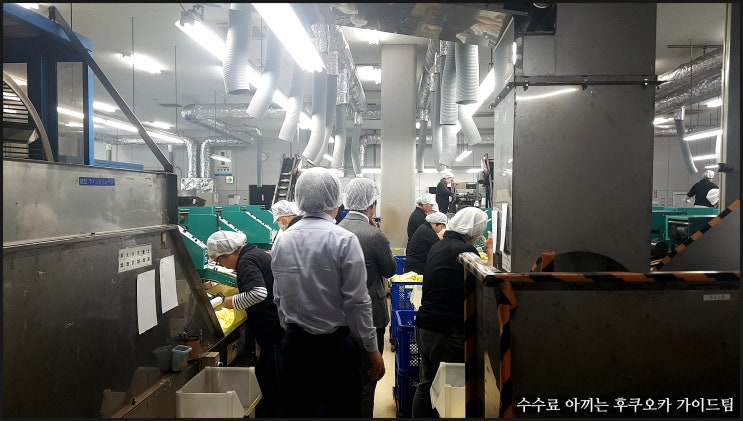  일본 규슈 후쿠오카 지역의 통역 안내 후기