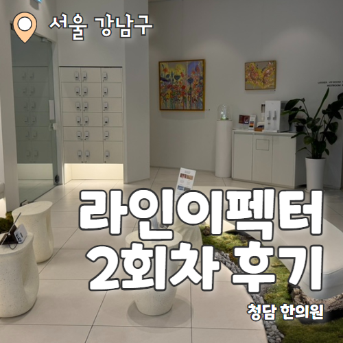  청담한의원 라인이펙터 2회차 팔뚝 지방분해 후기