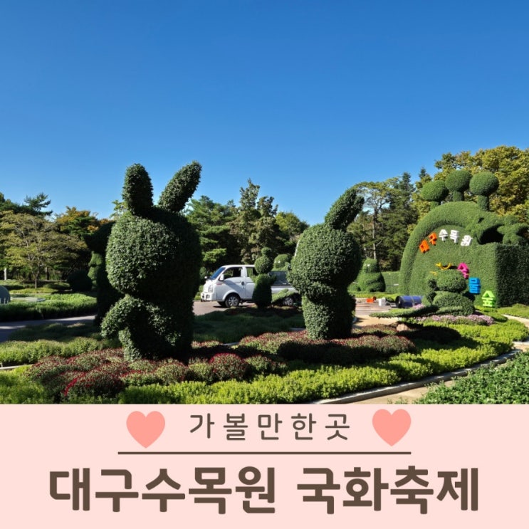  대구수목원 국화축제 기간 주차정보 실시간 개화상황