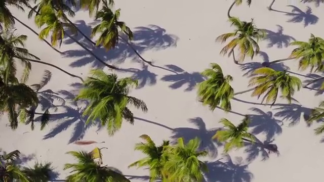  경기도사회복지공무원 , 사회복지사2급 직장인도 인강으로 편하게
