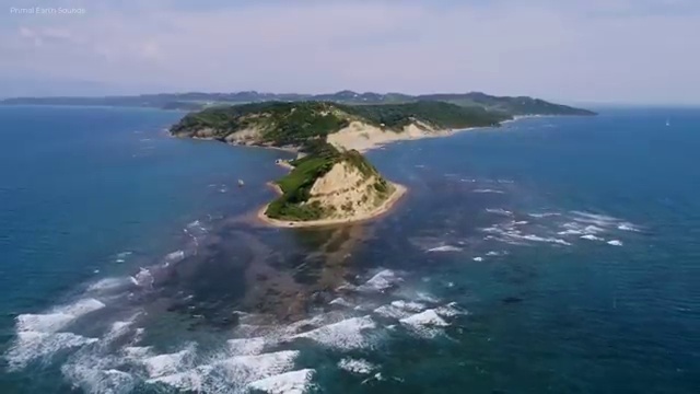  , 심리상담사 자격증 합격정보 요점정리